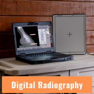 Digital Radiography