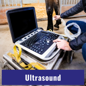 Ultrasound