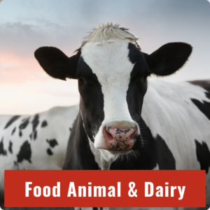 Food Animal+Dairy